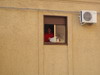 thumb_pb122089.jpg